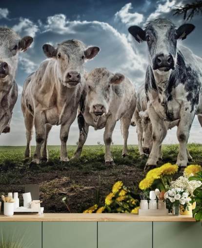 Cow Gang Wallpaper Cow Gang Wallpaper