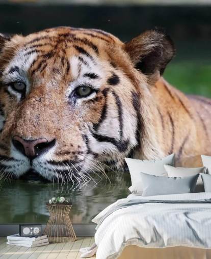 Swimming Tiger Close Up Wallpaper Swimming Tiger Close Up Wallpaper