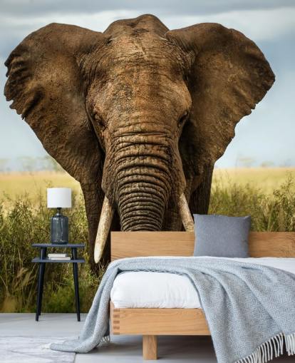 Elephant Head On Wall Mural Elephant Head On Wall Mural