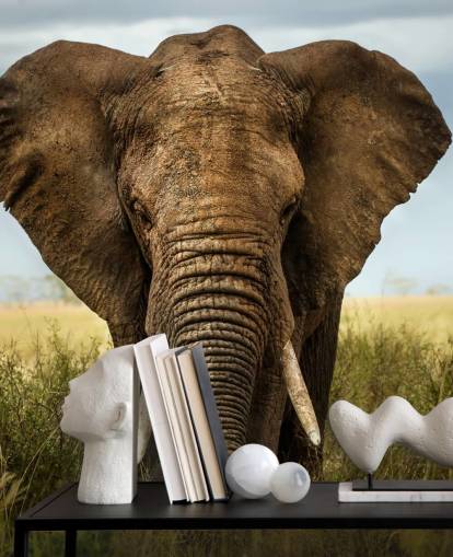 Olifant hoofd op muurschildering Olifant hoofd op muurschildering