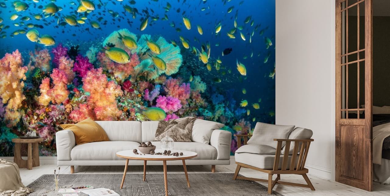 colorful tropical fish wallpaper