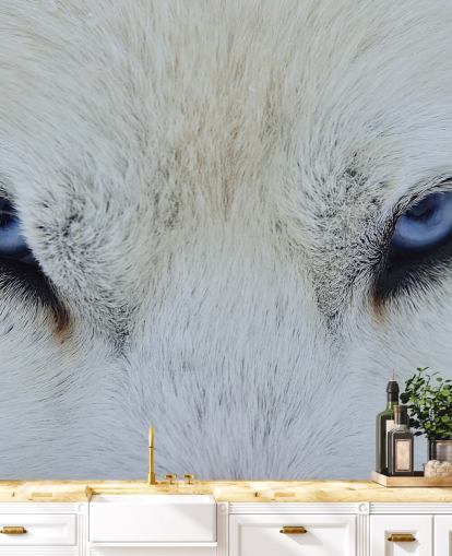 Blå Wolf Eyes Bakgrunn Blå Wolf Eyes Bakgrunn