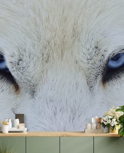Papel de parede Blue Wolf Eyes Papel de parede Blue Wolf Eyes