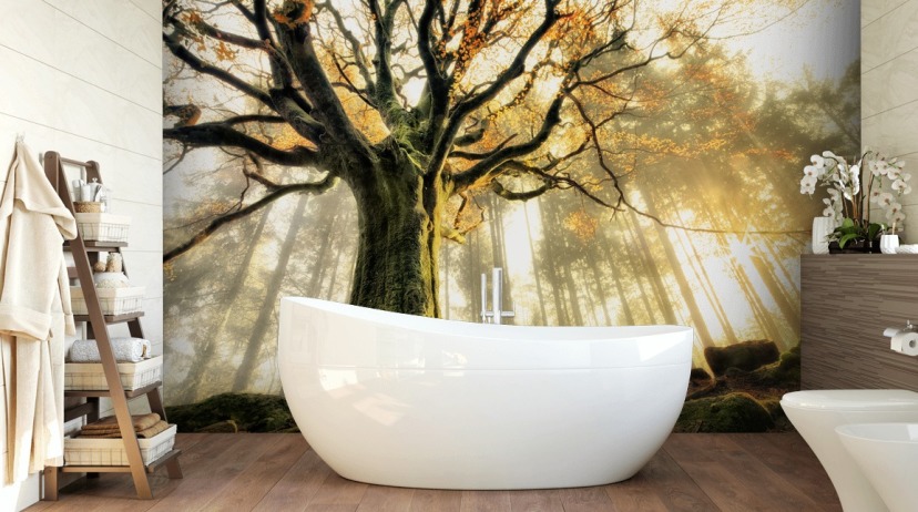 Forest Wallpaper & Tree Wall Murals | Wallsauce US