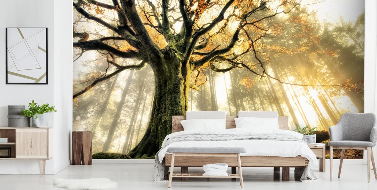 Carta da parati murale con albero gigante