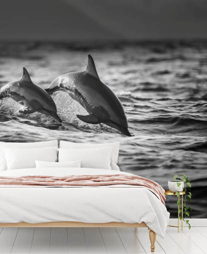 Black and White Dolphin Wallpaper Black and White Dolphin Wallpaper