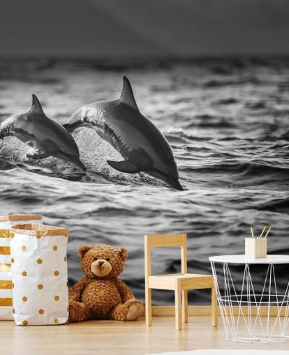 Black and White Dolphin Wallpaper Black and White Dolphin Wallpaper