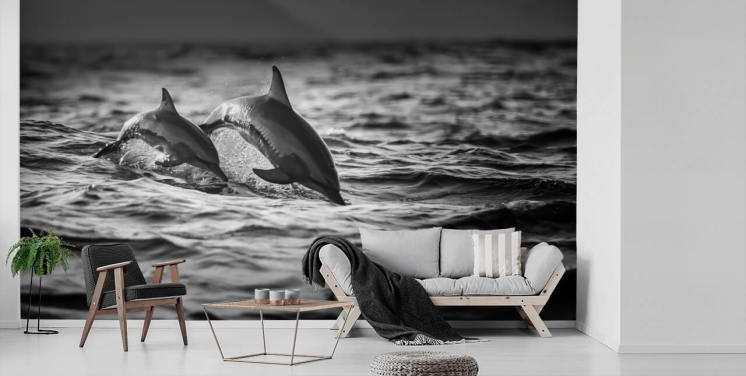 Schwarz-Weiß-Delfin-Tapete