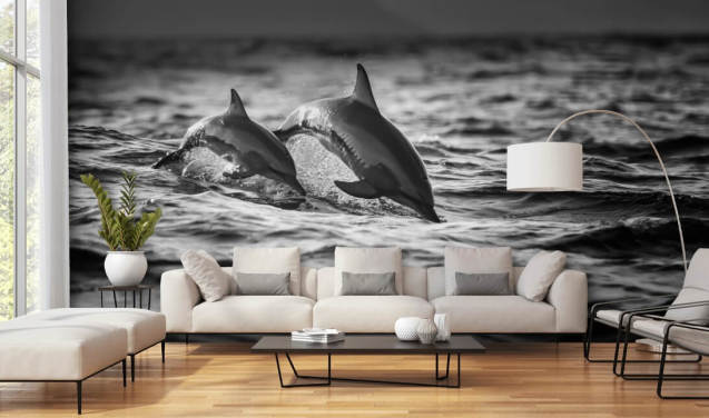 Black and White Dolphin Wallpaper