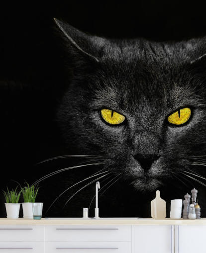 black cat face with yellow eyes wallpaper black cat face with yellow eyes wallpaper
