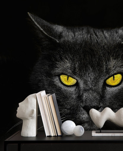 papel pintado de cara de gato negro con ojos amarillos papel pintado de cara de gato negro con ojos amarillos