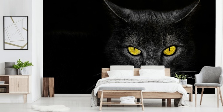 papel pintado de cara de gato negro con ojos amarillos