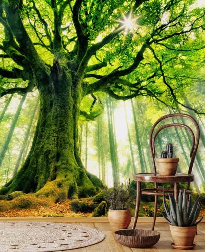 green customisable tree wallpaper mural called Mother Tree for bedrooms and kitchens green customisable tree wallpaper mural called Mother Tree for bedrooms and kitchens