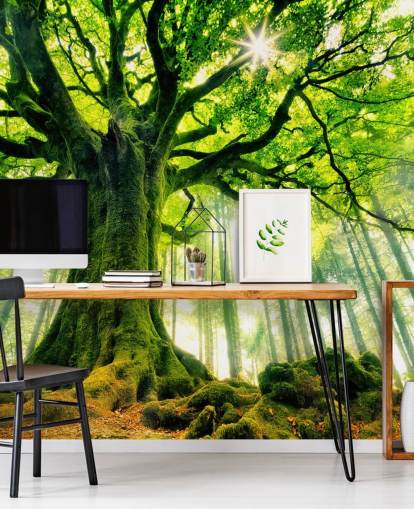 mural de papel de parede de árvore verde personalizável chamado Mother Tree para quartos e cozinhas mural de papel de parede de árvore verde personalizável chamado Mother Tree para quartos e cozinhas