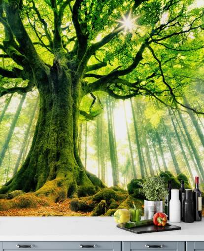 carta da parati murale verde personalizzabile con albero chiamato Mother Tree per camere da letto e cucine carta da parati murale verde personalizzabile con albero chiamato Mother Tree per camere da letto e cucine