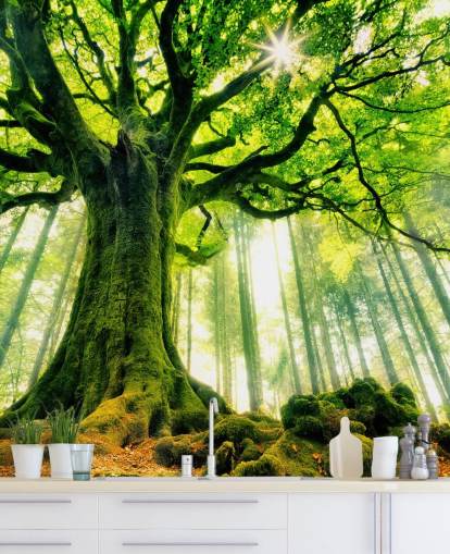 carta da parati murale verde personalizzabile con albero chiamato Mother Tree per camere da letto e cucine carta da parati murale verde personalizzabile con albero chiamato Mother Tree per camere da letto e cucine