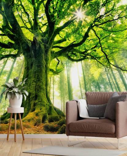 green customisable tree wallpaper mural called Mother Tree for bedrooms and kitchens green customisable tree wallpaper mural called Mother Tree for bedrooms and kitchens