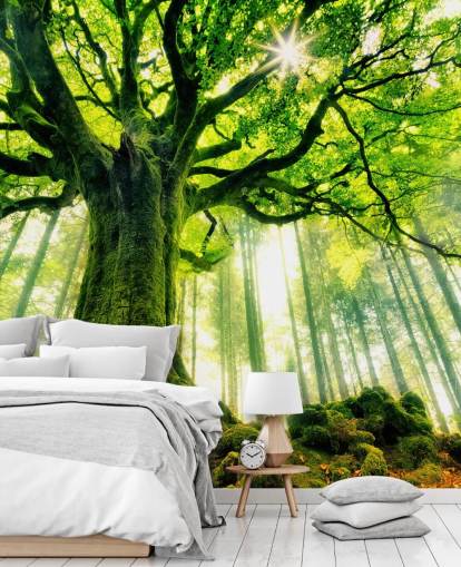 green customisable tree wallpaper mural called Mother Tree for bedrooms and kitchens green customisable tree wallpaper mural called Mother Tree for bedrooms and kitchens