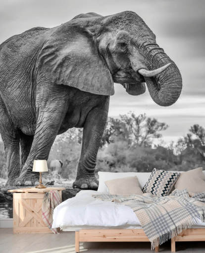 Elefante preto e branco Elefante preto e branco