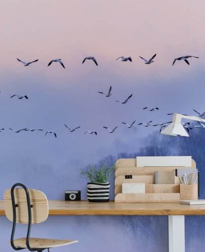 Snow Geese Bird Wallpaper Snow Geese Bird Wallpaper