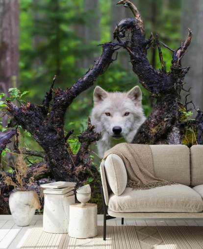 Papel de parede Wolf Hiding in Wood Papel de parede Wolf Hiding in Wood