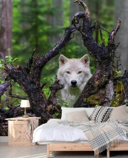 Wolf piilossa puu taustakuva Wolf piilossa puu taustakuva