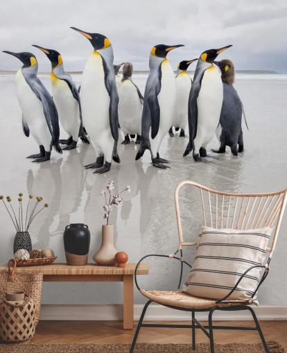 Papel de Parede Grupo Pinguim no Gelo Papel de Parede Grupo Pinguim no Gelo