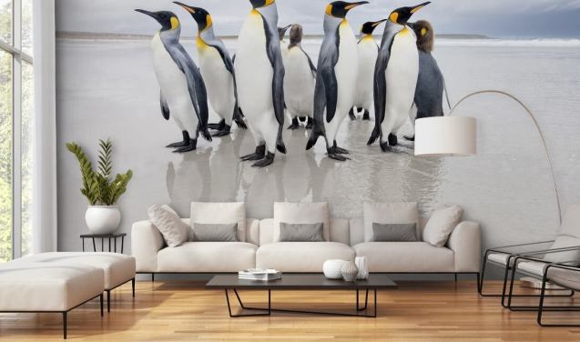 Fondo de pantalla de pingüinos sobre hielo
