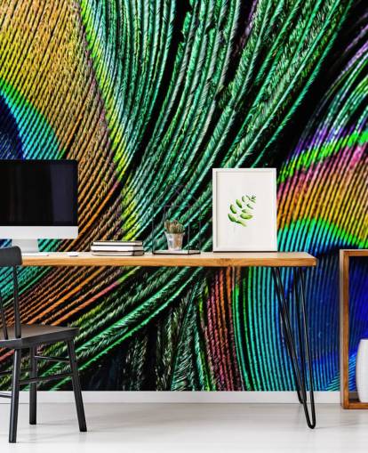 Peacock Feather Close Up Wallpaper Mural  Peacock Feather Close Up Wallpaper Mural