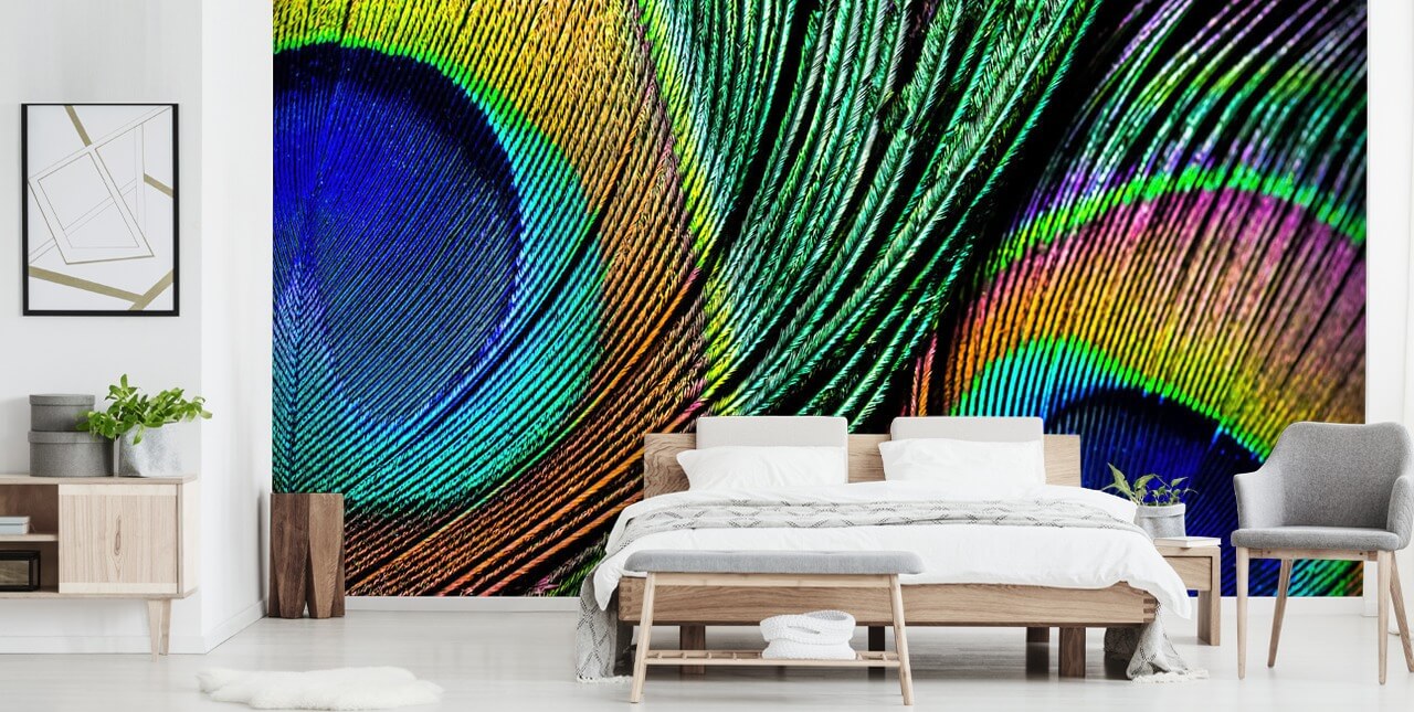 Peacock Feather Close Up Wallpaper Mural Peacock Feather Close Up Wallpaper Mural