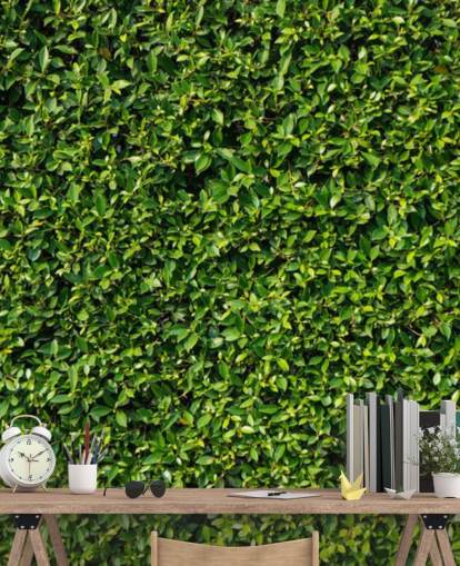 Papier Peint Vert Leafy Papier Peint Vert Leafy