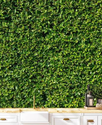 Leafy Grøn Væg Baggrund Leafy Grøn Væg Baggrund