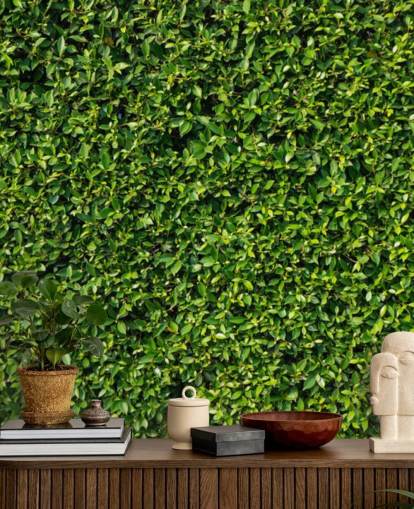 Banyan Leaves Wall Living Walls Wallpaper Banyan Leaves Wall Living Walls Wallpaper