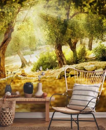 Olive Tree Wall Mural Olive Tree Wall Mural