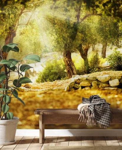 Decorazione murale con albero di ulivo Decorazione murale con albero di ulivo