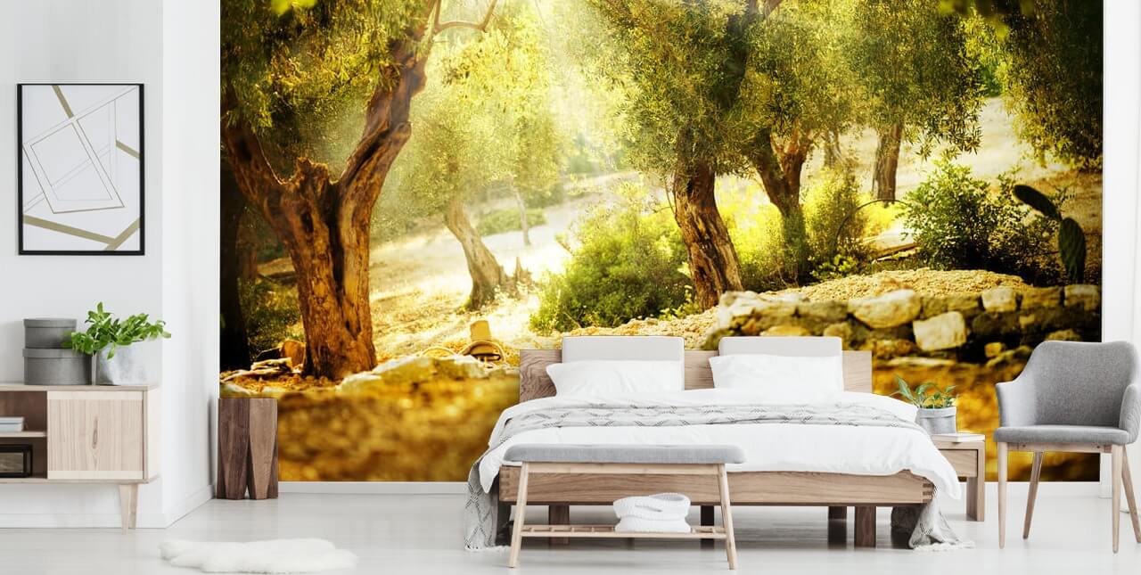 Olive Tree Wall Mural Olive Tree Wall Mural