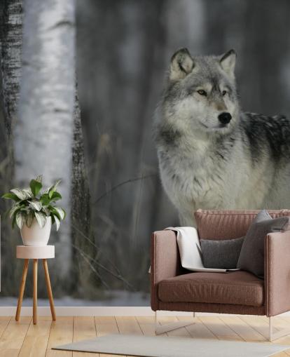 Grey Wolf in Wood Wall Mural Grey Wolf in Wood Wall Mural