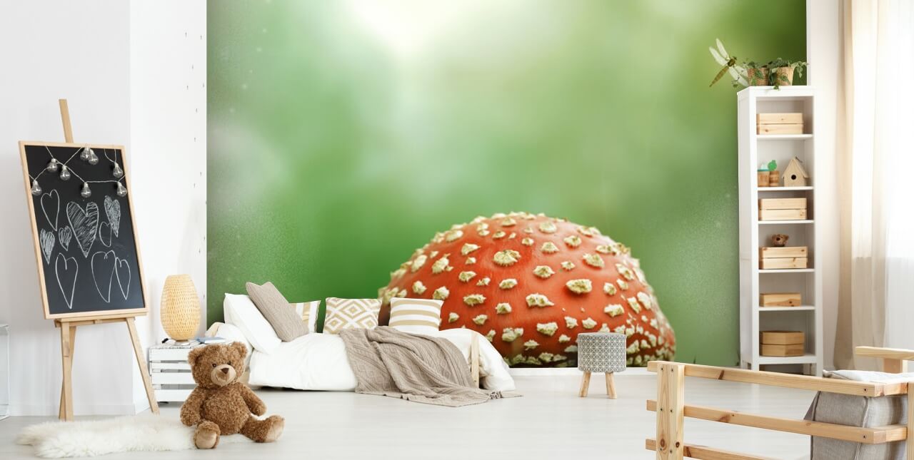 Papel de parede vermelho e branco Toadstool Papel de parede vermelho e branco Toadstool