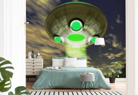 Carta da parati UFO over Woodland