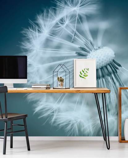 Close Up of Dandelion with Blue Backdrop Wallpaper Close Up of Dandelion with Blue Backdrop Wallpaper