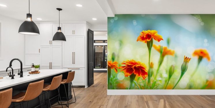 Tagetes Marigold Flowers Flower Wallpaper