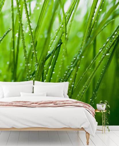 Grass Grass Wallpaper Grass Grass Wallpaper