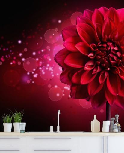 Stor röd dahlia blomma tapet Stor röd dahlia blomma tapet