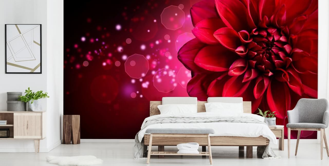 Big Red Dahlia Flower Wallpaper Big Red Dahlia Flower Wallpaper