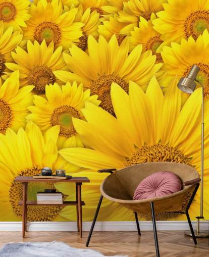 Close Up Sunflowers Wall Mural Close Up Sunflowers Wall Mural