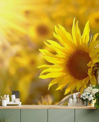 Sfondo Girasole all'alba Sfondo Girasole all'alba