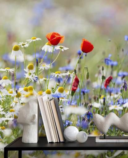 Wilde Blumen Feld Fototapete Wilde Blumen Feld Fototapete