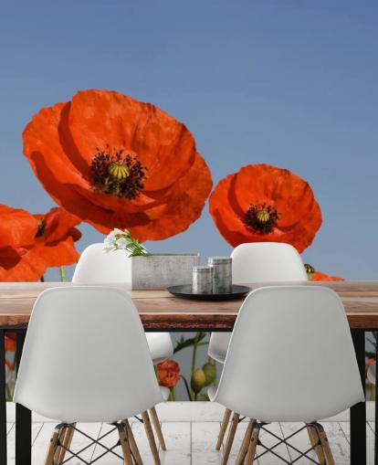 Red Poppies in a Field Wallpaper Red Poppies in a Field Wallpaper