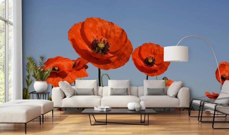 Poppy Wallpaper & Wall Murals