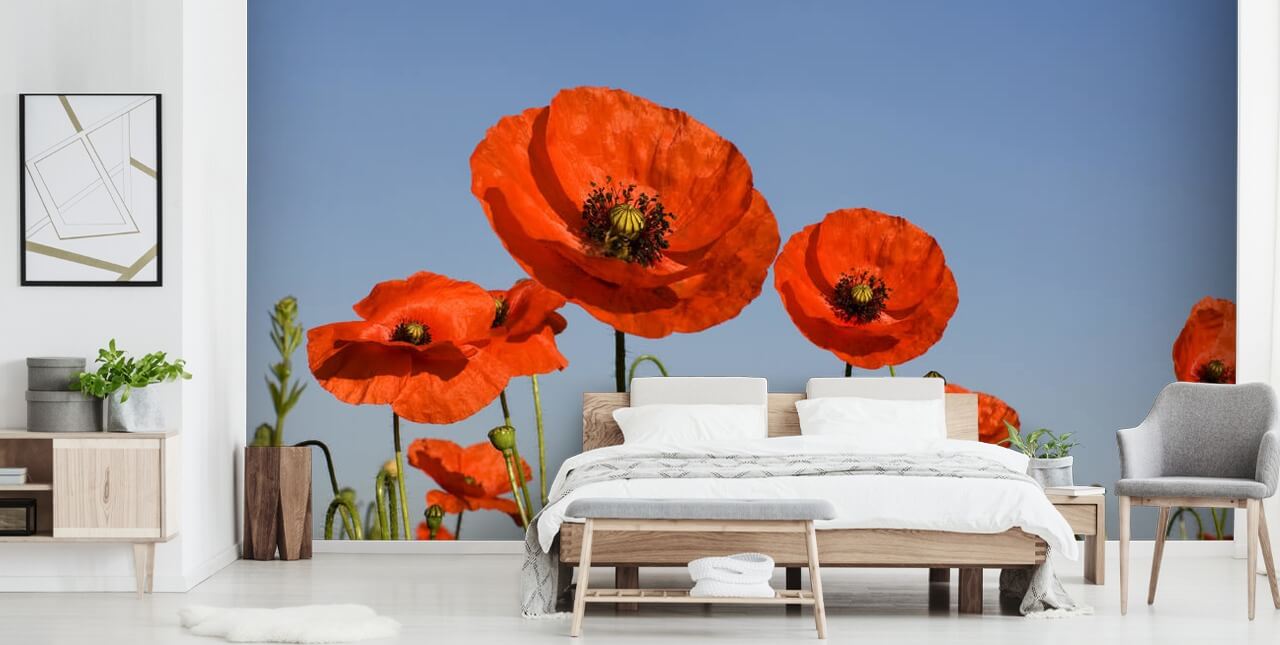 Poppy Floral Wallpaper Poppy Floral Wallpaper